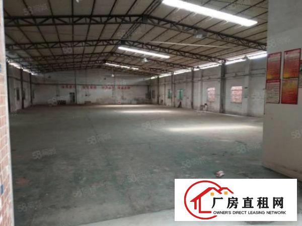  万江新出独门独院10米高单一层厂房招租