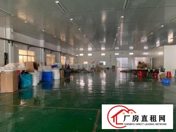  万江新出独门独院10米高单一层厂房招租