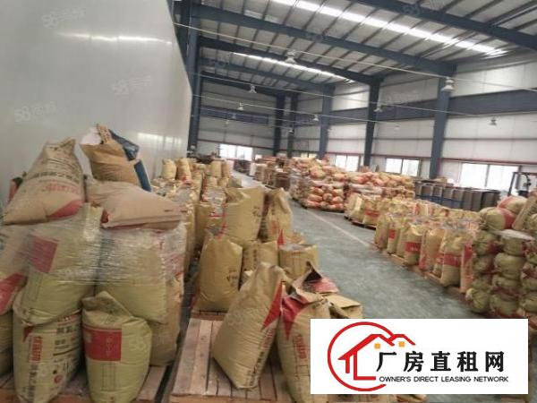  万江新出独门独院10米高单一层厂房招租