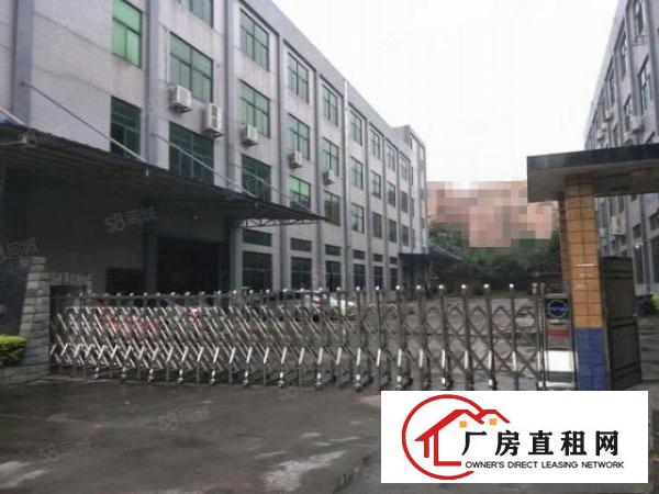  万江水蛇涌新出一楼标准厂房1500平方水电齐全空地大