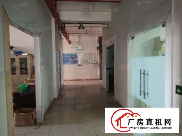  万江金泰工业园现成办公装修超靓厂房出租