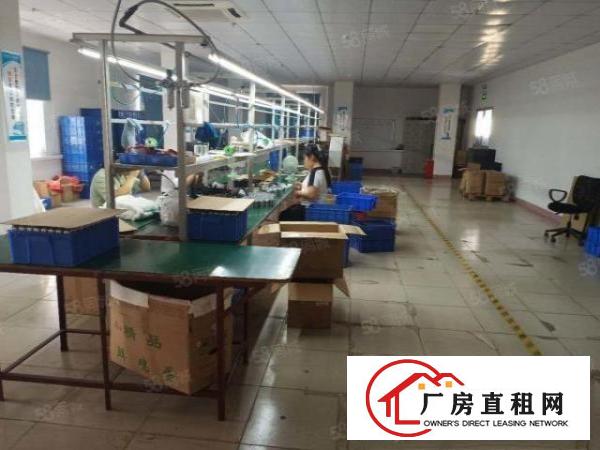  万江金泰工业园现成办公装修超靓厂房出租