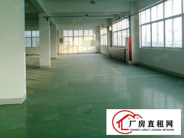  万江原房东精装厂房一楼1000平方出租（带地坪漆）