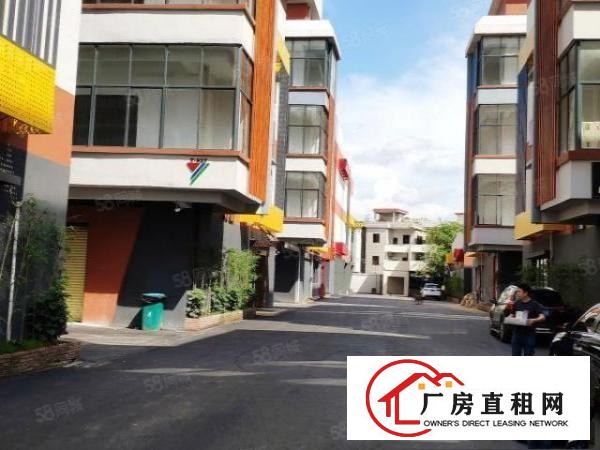  东莞万江厂房|1452平业主直租|采光好|近高速|周边环境好