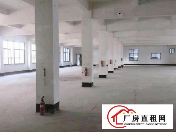  东莞万江厂房|1452平业主直租|采光好|近高速|周边环境好