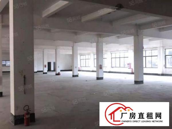  东莞万江厂房|1452平业主直租|采光好|近高速|周边环境好
