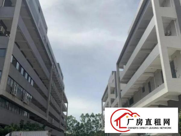  万江大型产业园厂房出租