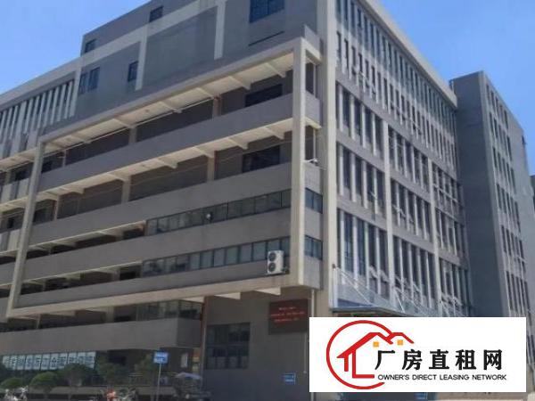  万江大型产业园厂房出租