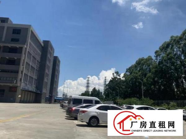  万江大型产业园厂房出租