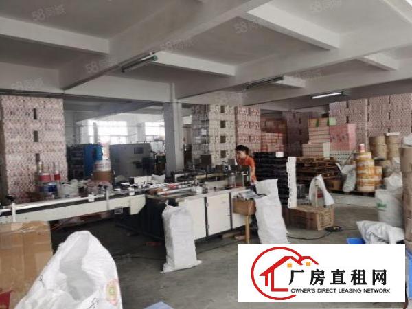  万江严屋工业区新出标准厂房三层1250平方每层