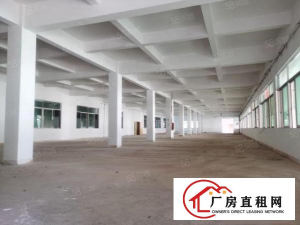  万江严屋工业区新出标准厂房三层1250平方每层