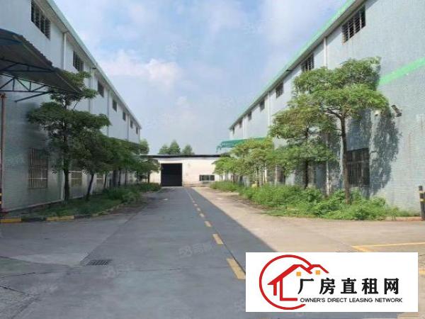  万江20000平米大空地绿化独院单一层厂房