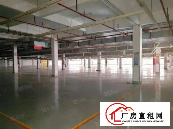  环城路外，交通四通八达，大拖车直接开进园区，空地2000平