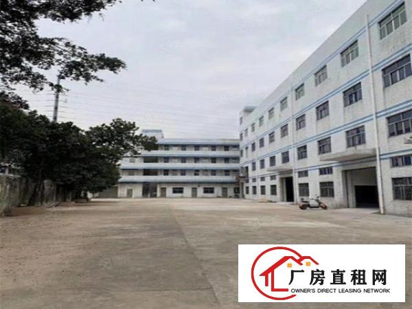  万江小享工业园分租一楼500平方有现成办公室水电齐全空地大