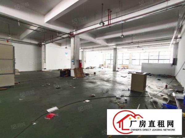 万江小享工业园分租一楼500平方有现成办公室水电齐全空地大