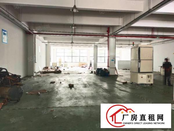  万江小享工业园分租一楼500平方有现成办公室水电齐全空地大