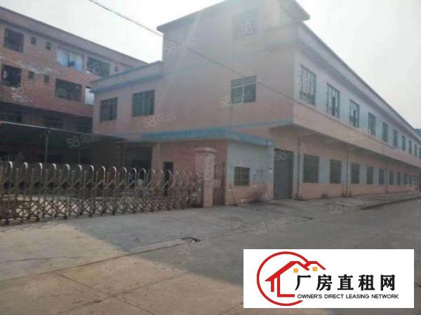  万江简沙洲楼房独院2500平方，空地超大