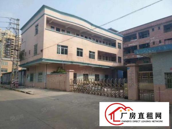  万江简沙洲楼房独院2500平方，空地超大