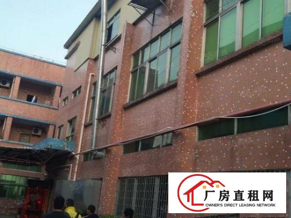  万江简沙洲楼房独院2500平方，空地超大