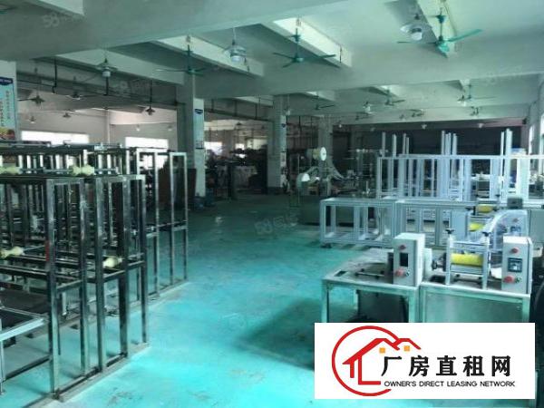  万江简沙洲楼房独院2500平方，空地超大