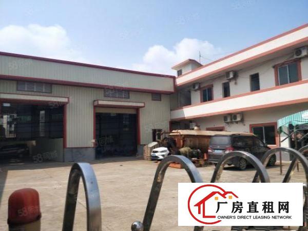  万江新村工业区新出原房东单一层厂房700平方