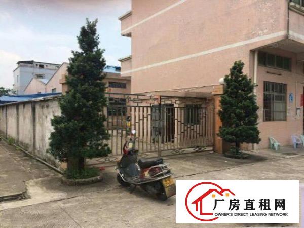  万江简沙洲工业区独院厂房2000平方