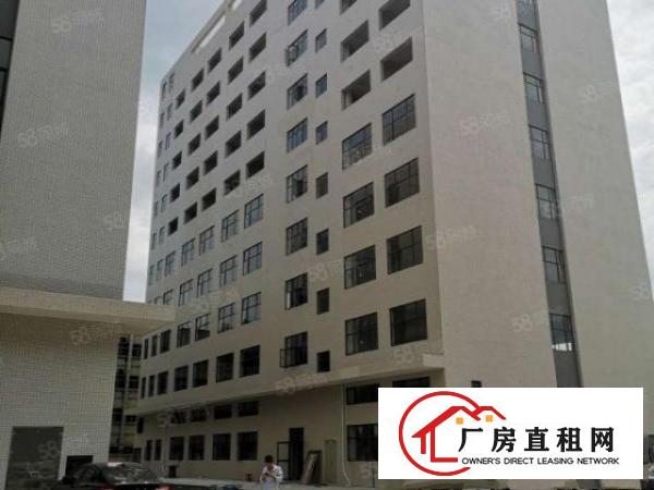  万江简沙洲新建高标重工业厂房5400每层，可以分租可办环评