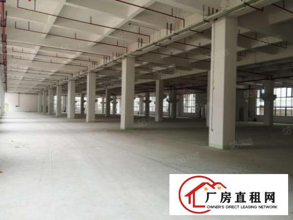  万江简沙洲新建高标重工业厂房5400每层，可以分租可办环评