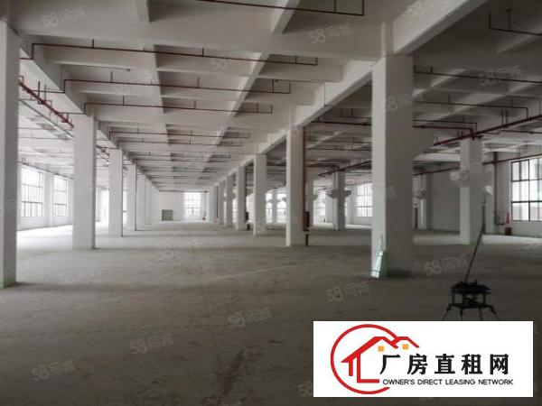  万江简沙洲新建高标重工业厂房5400每层，可以分租可办环评