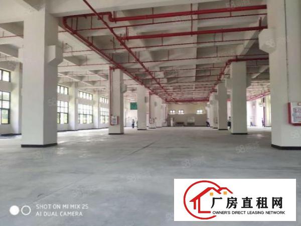  万江简沙洲新建高标重工业厂房5400每层，可以分租可办环评