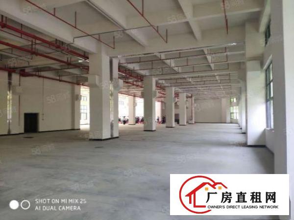  万江简沙洲新建高标重工业厂房5400每层，可以分租可办环评