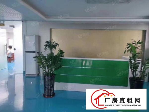  出租|万江标准厂房500平原房东