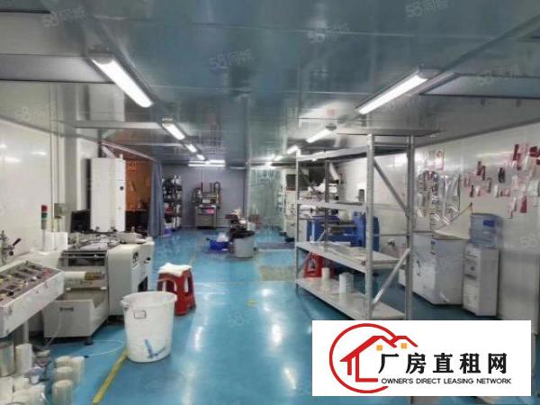  出租|万江标准厂房500平原房东