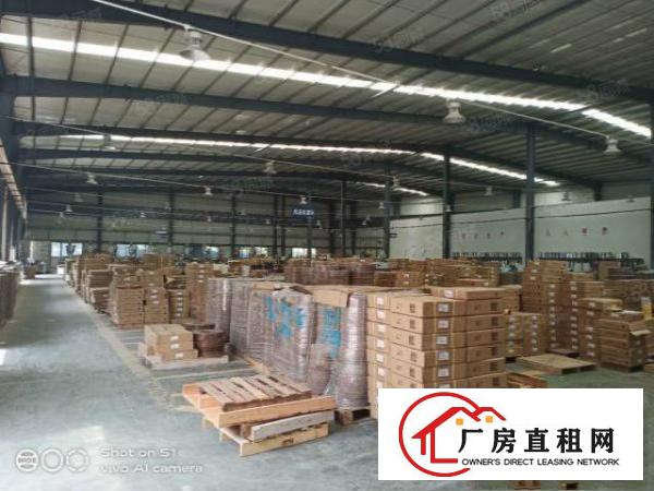  万江工业区独门独院全新钢构滴水10米超靓厂房出租