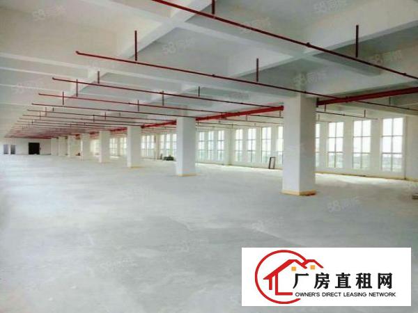  万江新出独院两层工业用地厂房4000平方出租，空地大