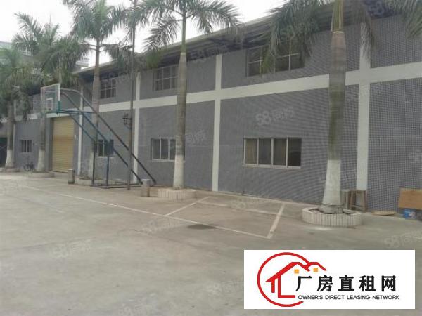 新出万江严屋厂房2000平方