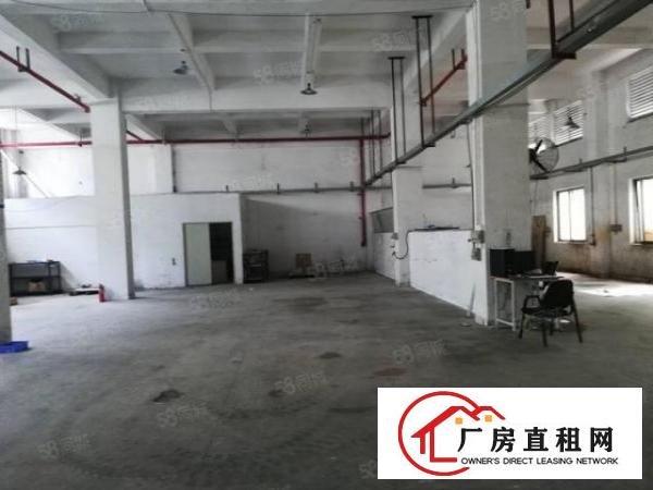  万江简沙洲独院标准厂房5700平方出租配独立变压器水电齐全