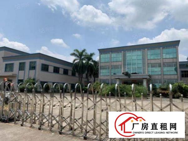  万江新出标准一楼1800平方（可分租900平方）