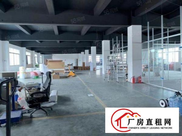 万江新出标准一楼1800平方（可分租900平方）
