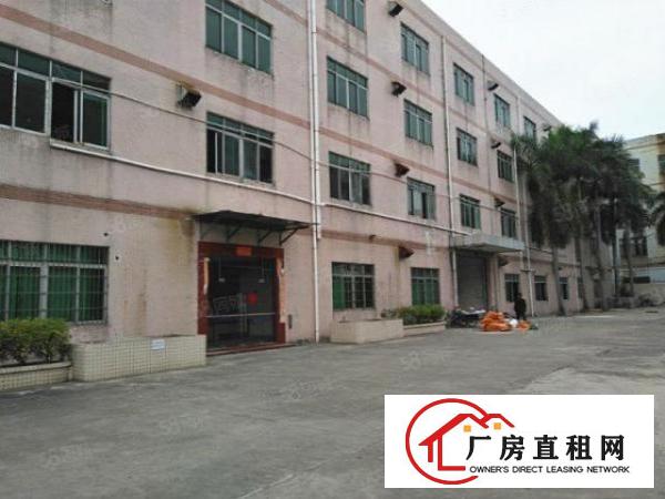  万江蟹地二楼2000平方水电齐全有精装办公室交通便利好招工