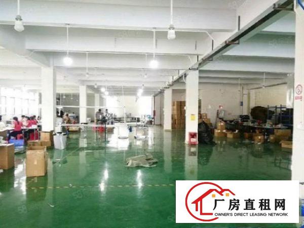  万江蟹地二楼2000平方水电齐全有精装办公室交通便利好招工