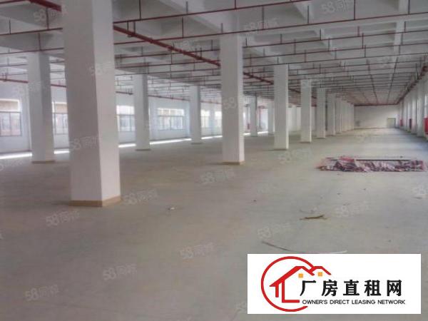  万江新出独院厂房三层3000平方，可办环评，形象