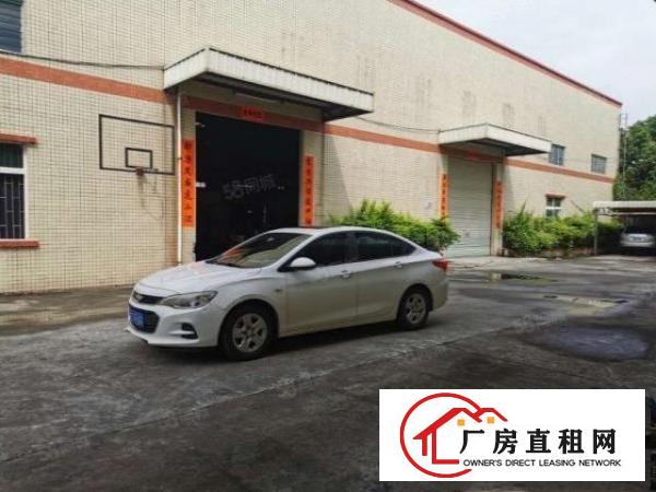  万江附近新出原房东单一层独院。车间滴水8米有隔热可办环评