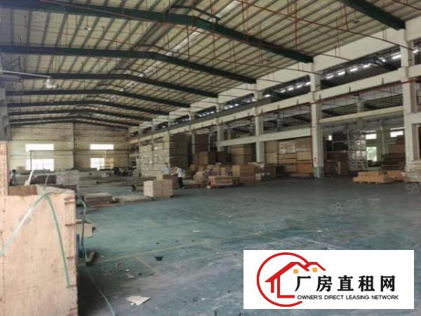  万江附近新出原房东单一层独院。车间滴水8米有隔热可办环评
