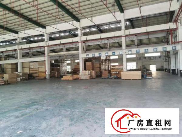  万江附近新出原房东单一层独院。车间滴水8米有隔热可办环评
