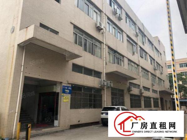  一楼630平！万江上甲新空出标准一楼厂房630平水电配套齐全