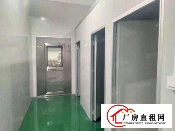  出租|万江标准厂房1000平证件齐全可随时拎包入住