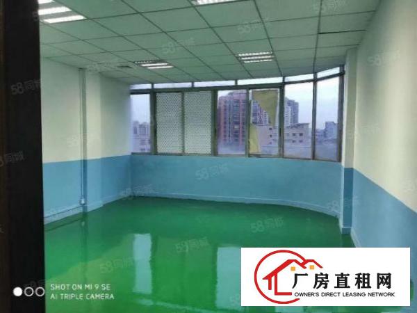  出租|万江标准厂房1000平证件齐全可随时拎包入住