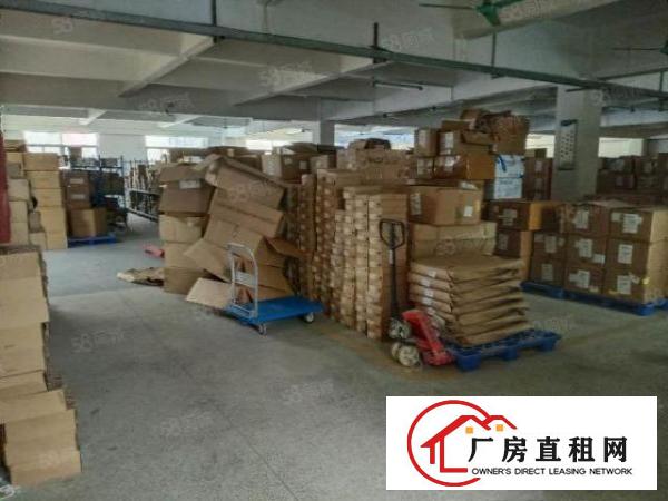  万江流涌尾工业园环城路外，超靓厂房，大小可分租