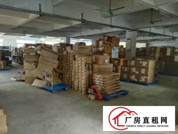  万江流涌尾工业园环城路外，超靓厂房，大小可分租